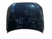 Motorhaube Audi Q5 (8R) 8R0823029