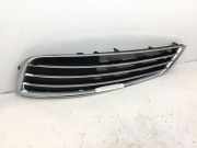 Gitter vorne unten AUDI A8 D4 (4H_) 4.2 TDI quattro 4H0807679