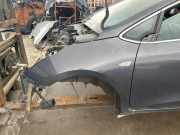 Kotflügel vorne links KIA CEE`D Sportswagon (JD) 1.6 CRDi 136