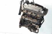 Motor ohne Anbauteile (Benzin) Audi A4 (8W, B9) DEU