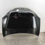Motorhaube Lexus RX 2 (U3) 5330148050