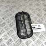 Ziergitter Audi A4 Allroad (8W, B9) 6R0819465A