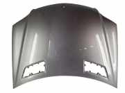 Motorabdeckung MERCEDES-BENZ M (W164) ML 300 CDI 4-matic (164.120)