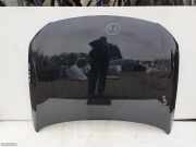 Motorhaube VW Passat B6 CC (357)
