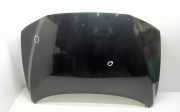 Motorhaube VOLVO V70 II (SW) 2.4 D5