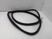 Dichtungsgummi der hinteren Tür (an der Karosserie)