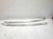 Dachgriff hinten links BMW X1 (E84) xDrive 20 d