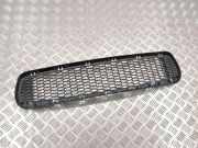 Gitter vorne unten BMW 3 (E90) M3 7900764