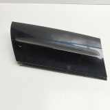 Verkleidung C-Säule rechts Ford EcoSport () CN15N29148ADW