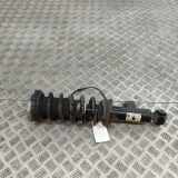 Stoßdämpfer hinten links BMW iX3 (G08) Electric (286 HP) 6898154