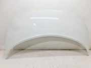 Motorhaube RENAULT GRAND SCÉNIC II (JM0/1_) 1.9 dCi (JM0G, JM12, JM1G, JM2C)