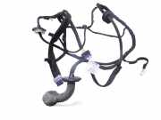 Türverkabelung hinten links CITROËN C5 III (RD_) 2.0 HDi 180 9672176380