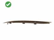 Frischluftgrill MERCEDES-BENZ SLK (R171) 200 Kompressor (171.442) 000071310