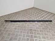 Türgummi rechts vorne Renault Grand Scenic IV (R9)