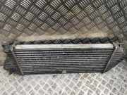 Ladeluftkühler Mercedes-Benz M-Klasse (W163)