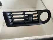 Gitter Grill vorne rechts AUDI A3 (8L1) 1.9 TDI 8L0807490A