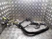 Kabel Tür Nissan Leaf (ZE0) 241243NA1A