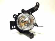 Nebelscheinwerfer links vorne Mitsubishi Grandis (NA0W)