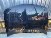 Motorhaube RENAULT LAGUNA II Grandtour (KG0/1_) 1.9 dCi (KG0G)