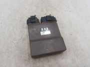 Fuel Injector Control Unit NISSAN PRIMERA (P12) 1.9 dCi 1310001190