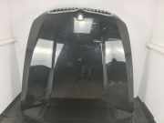 Motorhaube BMW X5 (E70) 41617486754