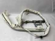 Airbag Dach rechts Audi A6 (4G, C7) 4G5880742C