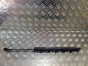 Heckklappe Gasdruckfeder links