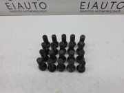 Radschraubensatz BMW 5 Gran Turismo (F07) 530 d