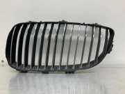 Vorderer oberer Gitter BMW 3 Touring (E91) 320 d 7157277