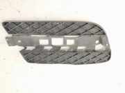 Gitter Grill vorne links MERCEDES-BENZ GL (X164) GL 450 4-matic (164.871) A1648847122
