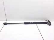 Heckklappe Gasdruckfeder links RENAULT MEGANE III Coupe (DZ0/1_) 1.5 dCi (DZ0B) 904510001R