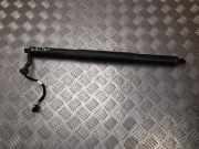 Gasfeder im Kofferraum links AUDI Q5 (FY) 2.0 TDI quattro 80A827851A