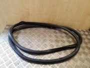 Türdichtungsgummi vorne links SKODA SUPERB II (3T4) 1.6 TDI 3T0867365