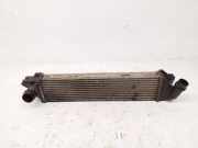 Ladeluftkühler RENAULT TRAFIC III Furgon (FG_) 1.6 dCi 120 93868349