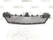 Gitter vorne unten MERCEDES-BENZ C (W204) C 250 CDI 4-matic (204.082) 2048851324