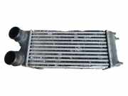 Ladeluftkühler Ford Fiesta VI (CB1, CCN) AV219L440AB