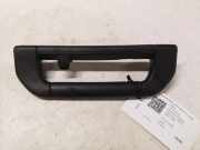 Dachgriff vorne links BMW X5 (E53) 3.0 i 1969985