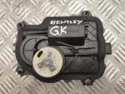 Türzieher hinten links