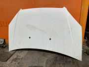 Motorhaube Fiat Doblo Kasten (223)