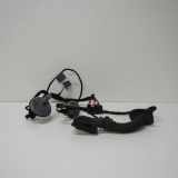 Türverkabelung hinten links AUDI A4 (8K2, B8) 2.0 TDI 8K0971687AC