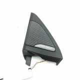 Türlautsprecher vorne links