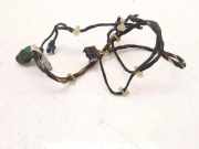 Türverkabelung hinten links ALFA ROMEO 156 Sportwagon (932_) 2.4 JTD (932.B1B00) 60689573