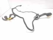 Türverkabelung hinten links OPEL ANTARA 2.4 F0616088