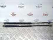 Heckklappe Gasdruckfeder links NISSAN PRIMERA Traveller (WP11) 2.0 TD 10A1018JPN