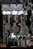 Motor ohne Anbauteile (Diesel) Citroen Jumper III Kasten () 4HU