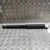 Stoßdämpfer hinten rechts FORD PUMA (J2K, CF7) 1.0 EcoBoost mHEV L1TC-18080-LF