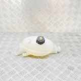 Ausgleichsbehälter RENAULT MASTER III Furgon (FV) 2.3 dCi 130 FWD 217100015R