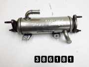 Abgaskühler Chevrolet Captiva (C100, C140) 96817829