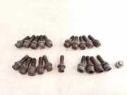 Radschraubensatz BMW X5 (E53) 4.4 i