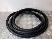 Türdichtung BMW 5er (F10)